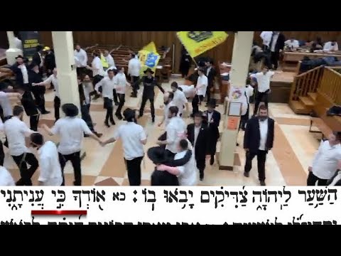 נבחר הניגון החדש לפרק קי"ח בתהילים