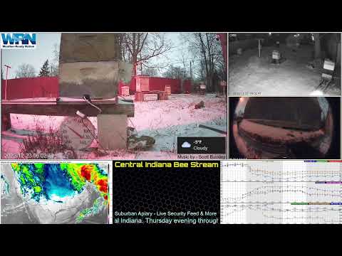 22/12/22 Snow Storm Indianapolis, IN USA - Backyard Bee Hive Security Feed  & More.