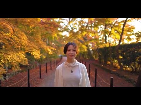 【京都府長岡京市PR動画】　長岡京の秋