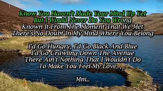 Garth Brooks Sings With Lyrics   Make You Feel My Love