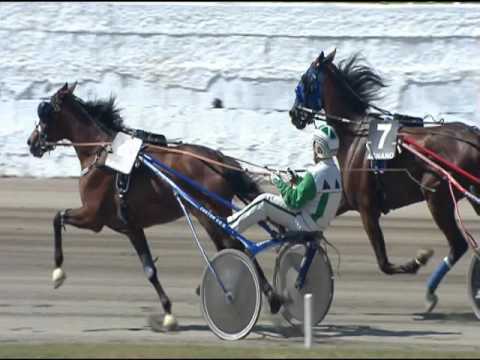 Trotto 30/04/2016 - 3° Corsa