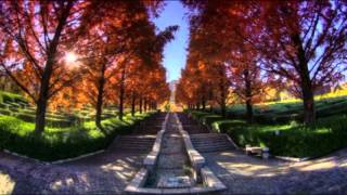 Patrick SEBASTIEN : DENISE en HD