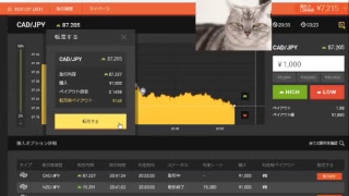 【FX】1万円から始める為替取引【BO】44