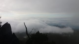 preview picture of video 'Ekpidisi Rumput Mati #Mt.Mekongga 2620 Mdpl'