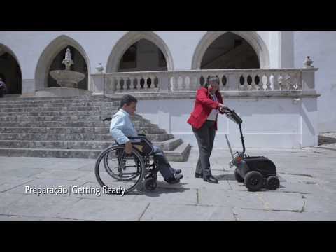 Projeto 'Parques de Sintra Acolhem Melhor' - Palácio Nacional de Sintra
