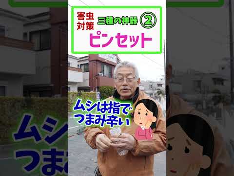 猫を菜園から追い出し、仕事を妨げるためのコーヒー粕