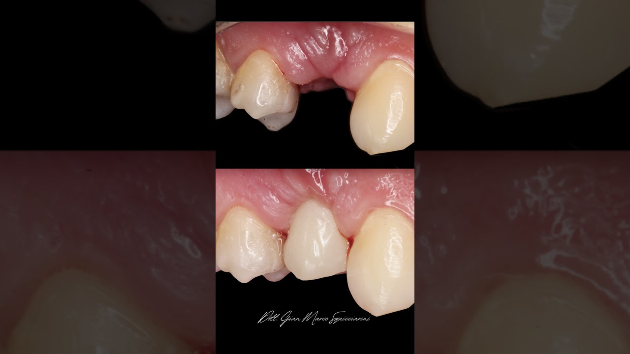 Marco Squicciarini-14