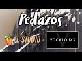 Pedazos