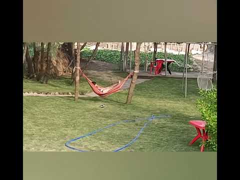 Tatarekha Beach Resort Tajpur