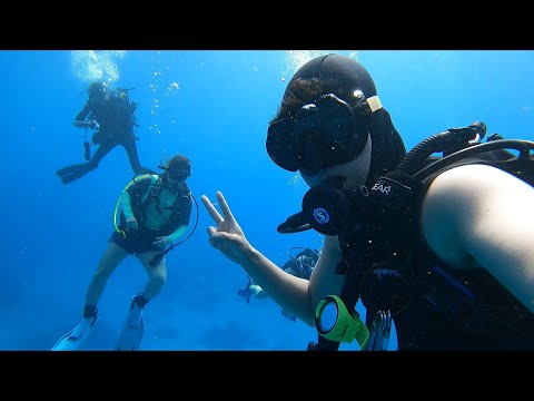 Cozumel SCUBA Diving (And Why I Keep Coming Back)