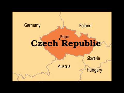 Czech - Žárlivý kakadu / Jealous cockatoo