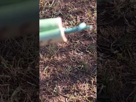 PETARDI (MAGNUM VS RAUDI)