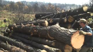 preview picture of video 'Harvesting Logs Waldo Canyon  Burn Scar by Mitchell Dillman'