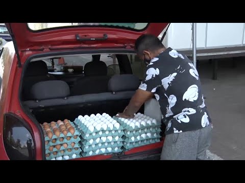 Mercado de producão, venda e consumo de ovos dispara no PiauiÌ 09 10 2021