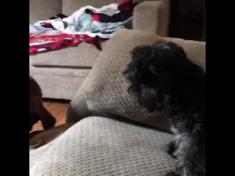 trim 83F2481E CBF4 4C7D ABC4 862F42F8E7B9