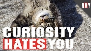 CURIOSITY HATES YOU!