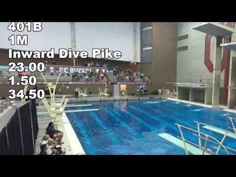 2015 USA Diving Region 5 - Max Flory - 14-15 Boys 1meter