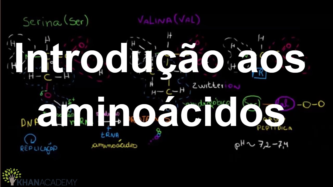Introdução aos aminoácidos | Macromoléculas | Biologia | Khan Academy