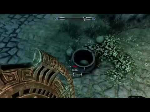 "After 325 Tries.......He Finally Did IT!!!"