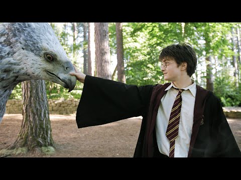 Harry Meets Buckbeak (Full Scene)