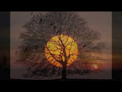 download lagu mp3 mp4 Pietra Su Pietra, download lagu Pietra Su Pietra gratis, unduh video klip Pietra Su Pietra