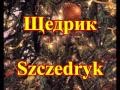 Щедрик (Леонтович - Szczedryk - Tekst) 