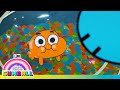 How Darwin Joined The Wattersons The Amazing World Of Gumball Cartoon Network