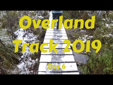Overland Track 2019 - Day 6