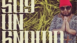 Soy Un Gnomo - Lacuadrapipo