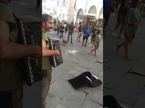 Busking in Italy, Arezzo, Tuscany