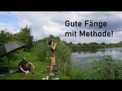 Feeder fishing in Mecklenburg, BREAM in LOTS!