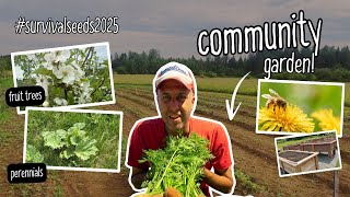 Survival Seeds 2025 Update 🌱 | Community Garden Tour
