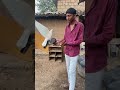 कबूतर को हाथ पर ऐसे लगायें ️ Pigeontraining Pigeon Short
