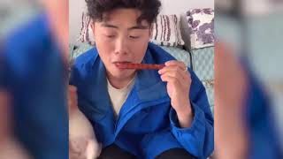 Những chú mèo ngộ nghĩnh, vui nhộn, TiktokTrungQuốc#mèo#tiktok#hàihước#6