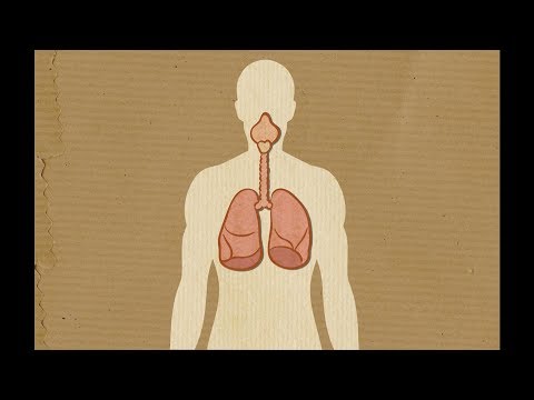 Radon: Protect Your Health at Home | IAEA