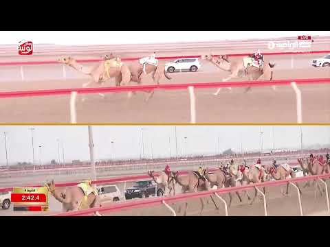 ش 4 (الفارس) لـ سالم حمد بن نابت المنصوري 6:04:84 ، شارة الديوان 2026/9/13 إيذاع الوثبة