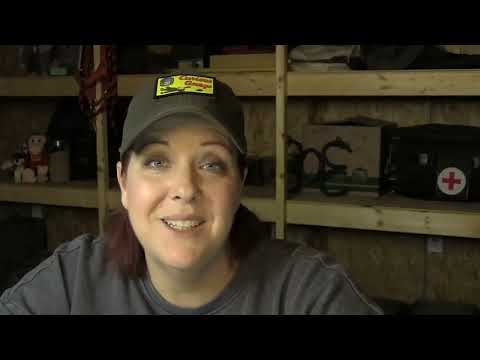 RNT: Trump, courts, almanacs, AI, and Ice Shelfs