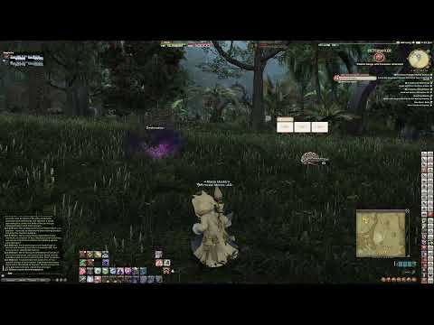 random beast tribe quests