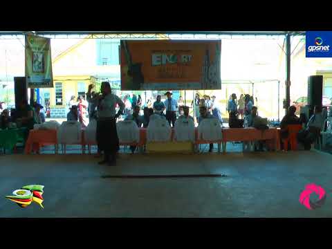 ENART 2019 - CHULA DOMINGO - FINAL