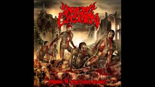 Parasitic Ejaculation - Rationing the Sacred Human Remains [FULL ALBUM 2013]