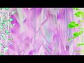 Finding Nemo End Credits In G Major