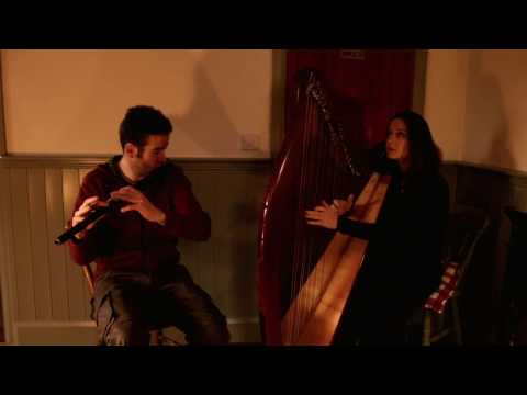 Stephen Doherty & Seána Davey Flute and Harp Jigs