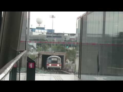 [CGL Train Cameo] SMRT (3) Train arriving Expo: Siemens C651 229/230