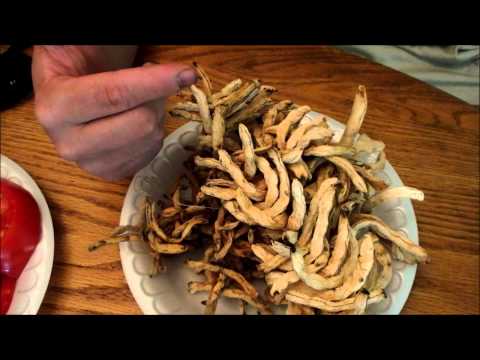 download lagu mp3 mp4 Drying Shucky Beans, download lagu Drying Shucky Beans gratis, unduh video klip Drying Shucky Beans