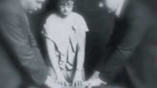 "who are they to say"   leah andreone