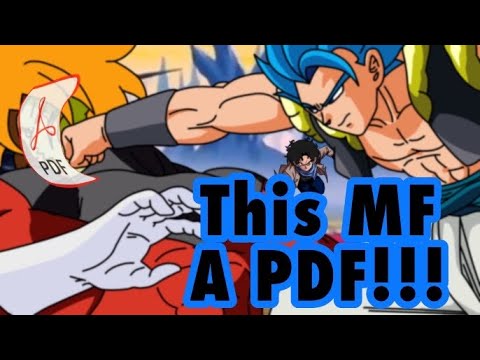 How Me and the DragonBall Community Ethered Perfection the Natural Selection