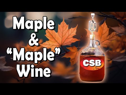 Homemade Maple Wine in 24 Days! -Tastes Like Bacon?