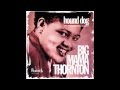 Big Mama Thornton   Just Like A Dog Barking Up The Wrong Tree