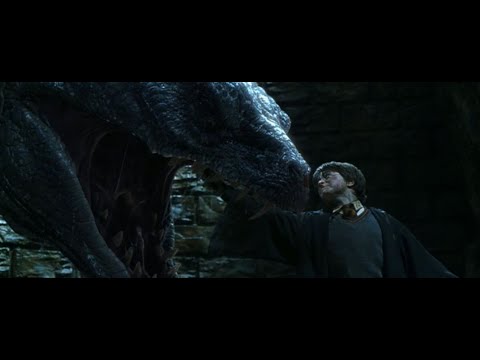 Harry vs Basilisk - Harry Potter and the Chamber of Secrets