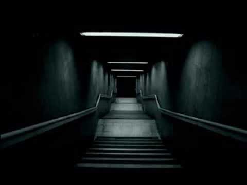Variant - Necrosis Feat.Liane Land (Romport Remix)[Dark and Sonorous Recordings]